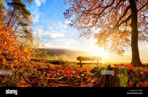 Herbstliche Landschaft Mit Der Sonne Herzlich Erleuchtende Eine Bank
