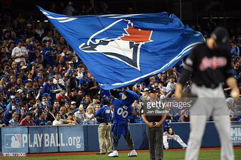 Toronto Blue Jays Mascots Ace Photos And Premium High Res Pictures