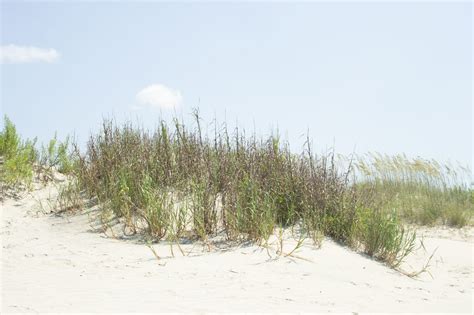 the must see sandy hook beaches janessa and colin