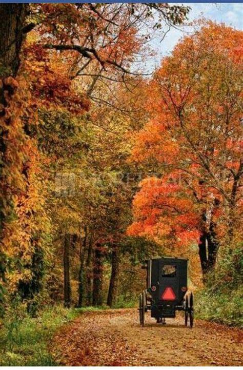 See This With The Amish Beautiful World Beautiful Places Fall Foliage