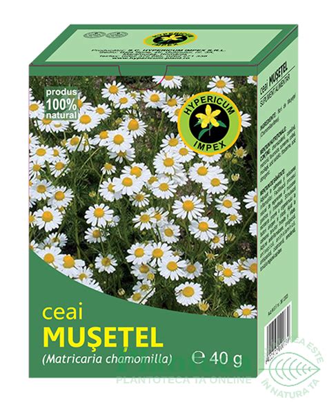 Ceai Musetel G Hypericum Plant Pret Lei Planteea