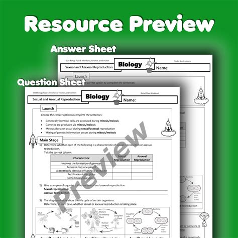 Sexual And Asexual Reproduction Home Learning Worksheet Gcse Teaching Resources