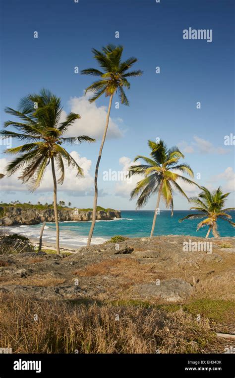 Barbados Beach Turquoise Sea Blue Sky Fluffy White Clouds Group Of