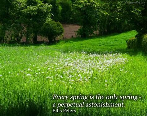 The first day of spring is here! Spring Quotes | Spring quotes, Spring season quotes ...