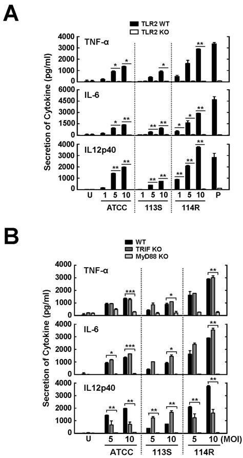 Mycobacterium Scrofulaceum Induced Proinflammatory Cytokine Production