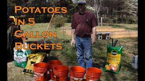 Planting Potatoes In Buckets Garden Space Saver Youtube