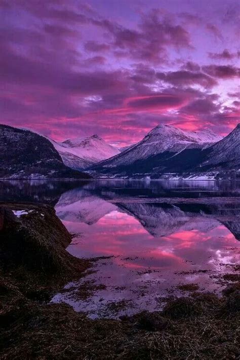 Pin By Debbie Ouellette On I Love Purple Beautiful Nature Beautiful