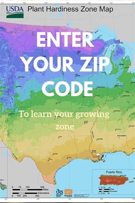 Find Your Growing Zone With Gardenologist