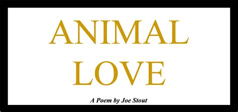 Animal Love Joe Stout Writing