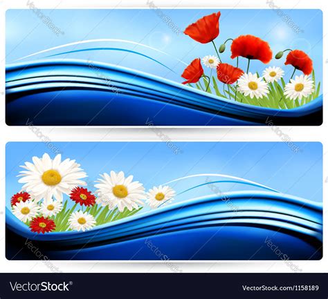 Nature Banners With Color Flowers Royalty Free Vector Image