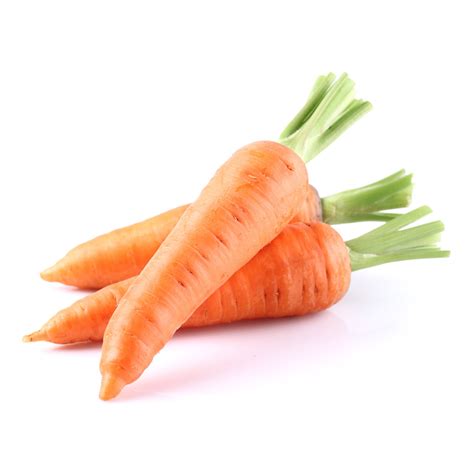 Zanahoria Difrusa