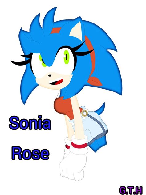 Sonia The Hedgehog Echo Por Greeicy The Hedgehog Sonic Fan