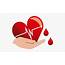 Blood Donation Logo Png  Transparent Cartoon Free Cliparts