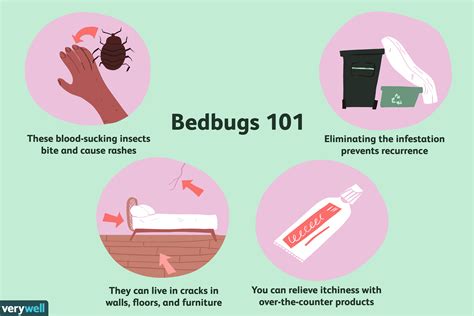 Itchy Bed Bug Bites Treatment Pest Phobia