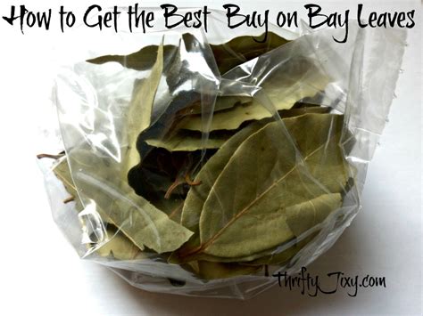 How To Get The Best Price On Bay Leaves Thrifty Jinxy