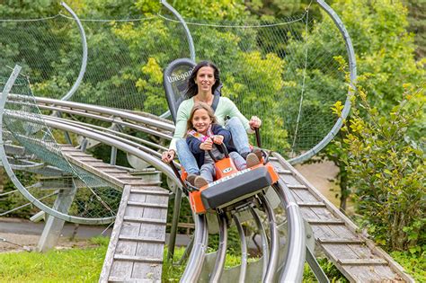 58,270 likes · 433 talking about this · 107,224 were here. Alpine Coaster Eifel-Coaster Germany