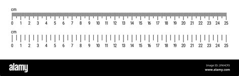 Metric Ruler Scale 25 Centimeter Scale Flat Style Illustration