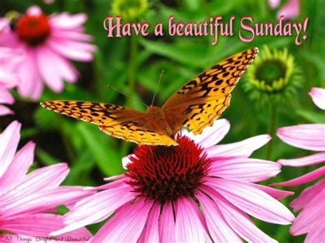 Have A Beautiful Sunday Pictures Photos And Images For