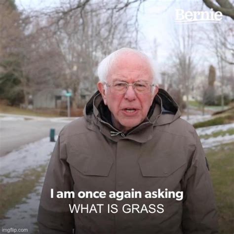 What Is Grass For God Sake Imgflip
