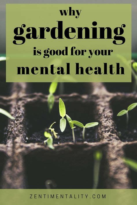 Gardening Therapy For Mental Health