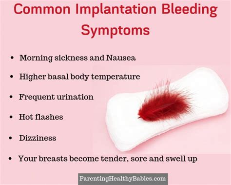11 Implantation Bleeding Symptoms You Need To Know Ultimate Guide