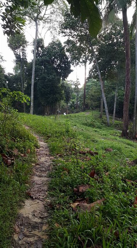 Thanks to the hardworking trail builders, the trail now connects seamlessly to the alam budiman trails on the other side of the. Sungai Siput Boy: HIKING : Setia Alam Community Trail ...