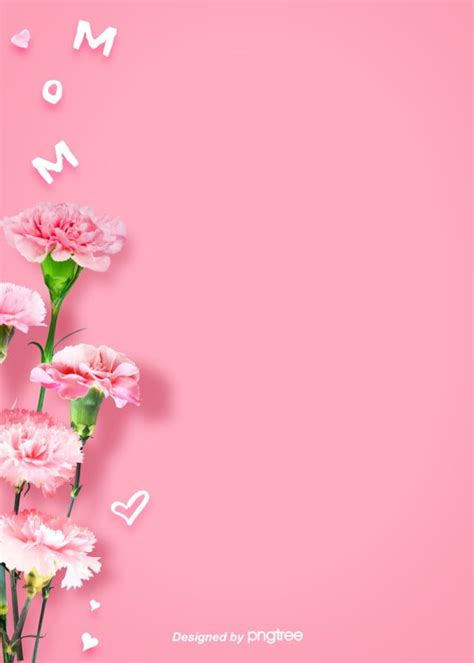 Background Of Mothers Day With Simple Pink Carnation Flowers Flower