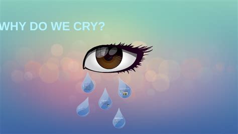 Why Do We Cry By Shay Ri