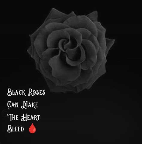 Black Roses Can Make You Bleed Hubpages