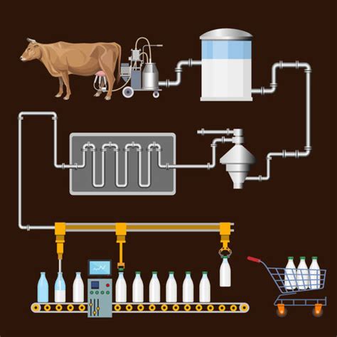 Best Milk Factory Illustrations Royalty Free Vector Graphics And Clip