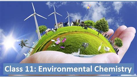 Class Chemistry NCERT Solutions Environmental Chemistry