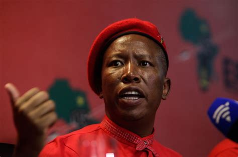 Julius malema is said to have taken trips in this cessna citation 500, whose owner has won lucrative tenders in limpopo picture of malema: Funny Kenyan responses to Julius Malema challenge after ...