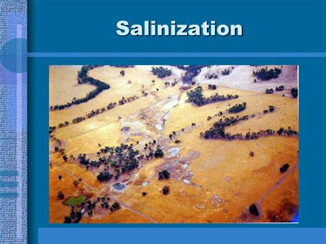 Ppt Topic 383 Describe Three Stages Of Soil Formation Powerpoint