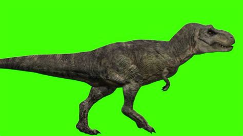 Jurassic Park Iii Tyrannosaurus Velociraptor Green Screen Hd T Rex Raptor Animated In 3ds Max