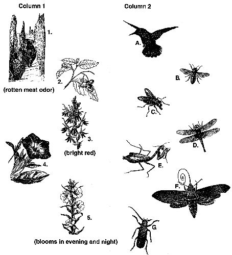 Illinois Natural History Survey Pollinat Natural History History Nature