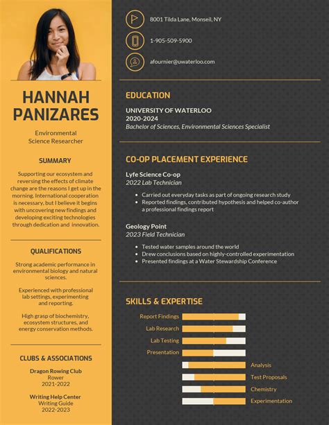 Infographic Resume Template Venngage