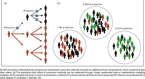 Modelling Sexual Transmission Of Hiv Testing The Assumption