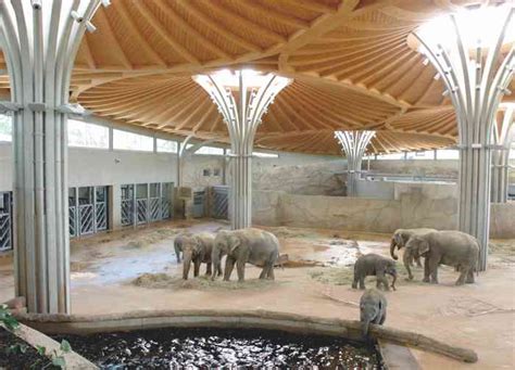 Liste der beliebtesten zoologischer fachhandel in hannover; Trauort in Köln - Kölner Zoo Elefantenpark