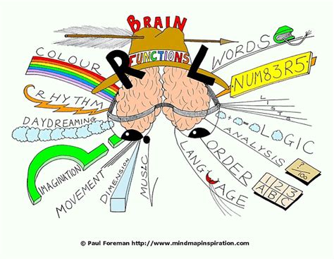 The Brain Functions Mind Map Created By Paul Foreman Will Help You To