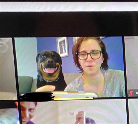 My Dog Is Really Starting To Enjoy My Zoom Meetings Rottweiler