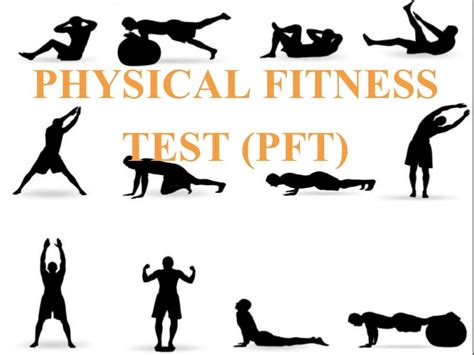 What Is Physical Fitness Test Pft