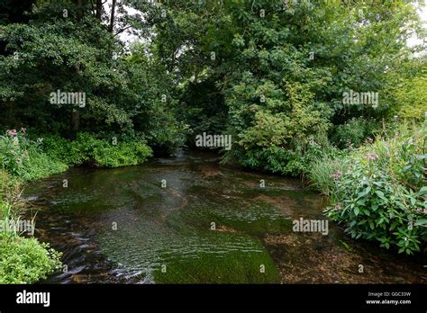 Summer Time Photos Of The Restoration Project At A Chalk Stream Site After Ten Years Of