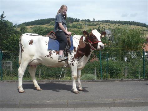 A Woman Riding On The Back Of A Brown And White Cow