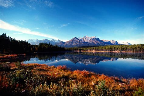 Herbert Lake In Autumn Colors Banff National Park Alberta Canada