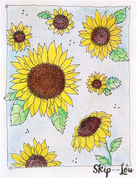 Sunflowers coloring page that you can customize and print for kids. Sunflower Coloring Page | Skip To My Lou