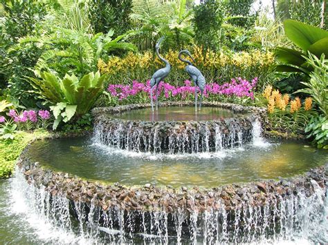 10 Reasons To Visit The Singapore Botanic Gardens