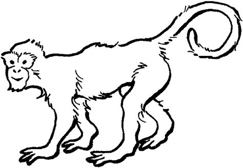 Free Zoo Animals Coloring Pages