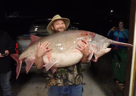 Missouri Angler Snags 140 Pound Spoonbill All Time State Record