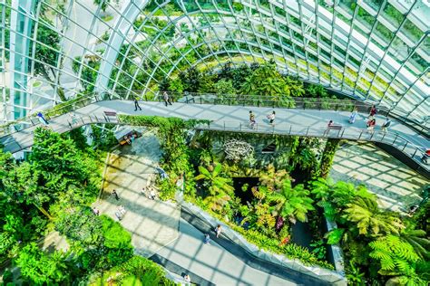 A Full Gardens By The Bay Singapore Review What You Need To Know