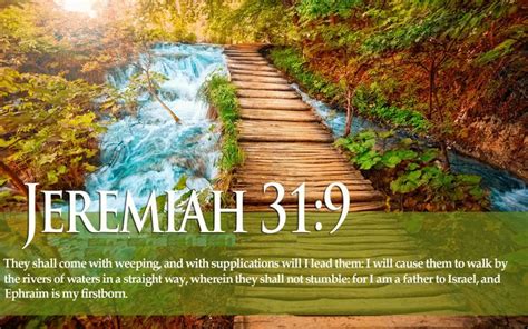 A Ladder To Success Bible Verse Pictures Christian Wallpaper Bible